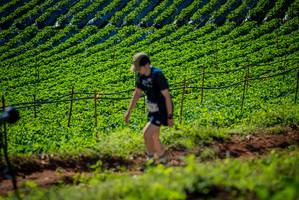 BIB: 
                            <button type="button" onclick="openModal(19161210)" class="btn btn-primary btn-sm float-right btn-popup" data-toggle="modal" data-target=".modal-high-quality">
                        <i class="fas fa-shopping-cart"></i> Add to Cart
                    </button>
                                            <button type="button" onclick="isThisMe(19161210, true)" class="btn btn-success btn-sm float-right btn-popup btn-isme hidden" data-toggle="tooltip" data-placement="bottom" title="นี่คือรูปของคุณใช่ไหม คลิกที่นี่เพื่อเอาเข้าอัลบั้ม">
                        <i class="fas fa-plus"></i> Add to album
                    </button>
                    <button type="button" onclick="isThisMe(19161210, false)" class="btn btn-warning btn-sm float-right btn-popup btn-isnotme hidden">
                        <i class="fas fa-ban"></i> Remove from album
                    </button>